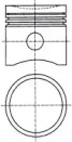 WILMINK GROUP wg1175350 -  